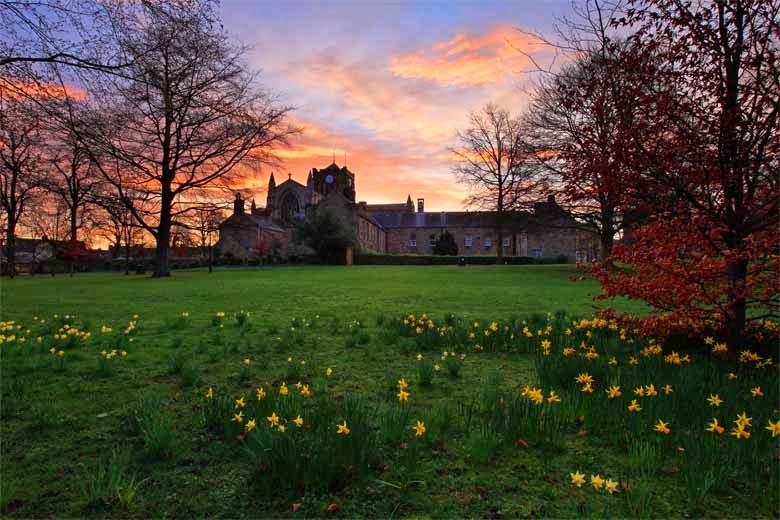 Spring on the Horizon